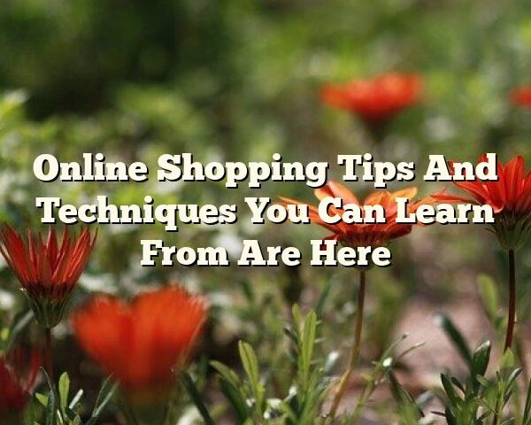 Online Shopping Tips And Techniques You Can Learn From Are Here