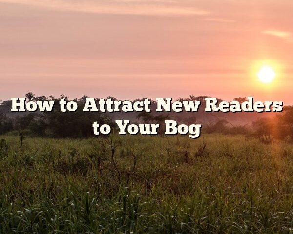 How to Attract New Readers to Your Bog