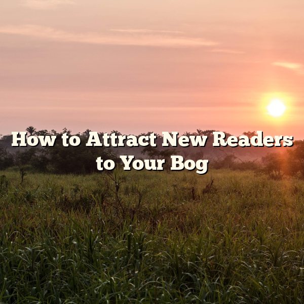 How to Attract New Readers to Your Bog